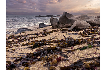 Rocky Beach at Sunset with Seaweed, a Nature Photo by tilialucida