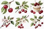 Watercolor Cherry Clip Art, an Illustration by Craft Nest (Thumbnail 6 of 12)
