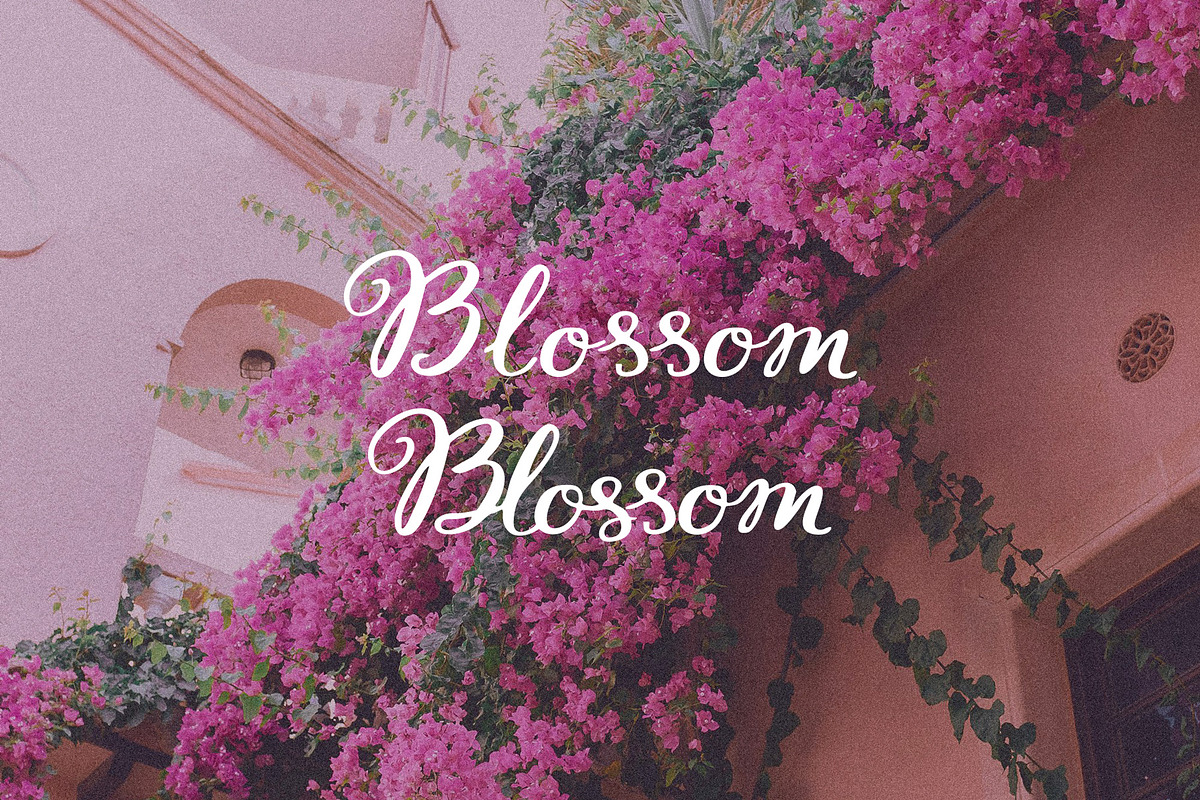 Whimsy Amore Handdrawn Ligatures, a Handwritten Font by SunnyAfternoons (Photo 4 of 12)