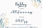 Bastelory Modern Script Font, a Script Font by Giant Design (Thumbnail 9 of 10)