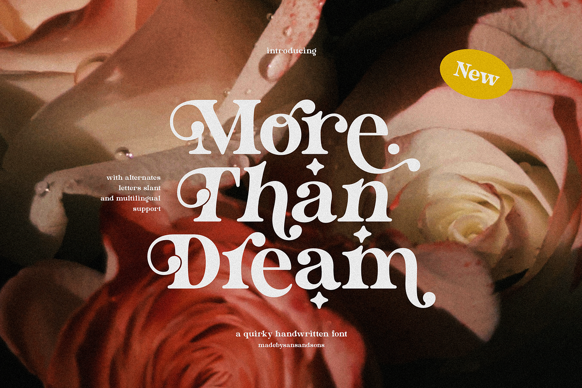 More Than Dream, a Serif Font by Sans & Sons (Photo 1 of 10)