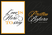 Denita Script, a Script Font by Solidtype (Thumbnail 2 of 7)