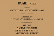 ROSTE Modern Ligature Serif Typeface, a Serif Font by Alfinart (Thumbnail 9 of 10)