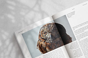 Cultura Magazine Template (InDesign), a Magazine Template by Eternel Design Studio (Thumbnail 7 of 13)