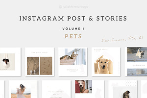 Instagram Post & Stories. Pets