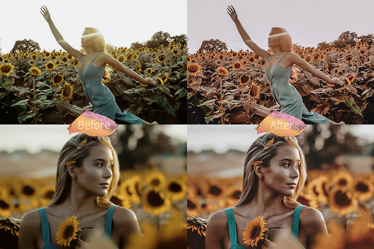 Sunflowers - Lightroom Presets Lr, a Preset Add-On by Uno Creative Studio (Photo 3 of 4)