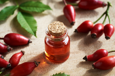 A bottle of red rosehip seed oil with fresh rose hips
