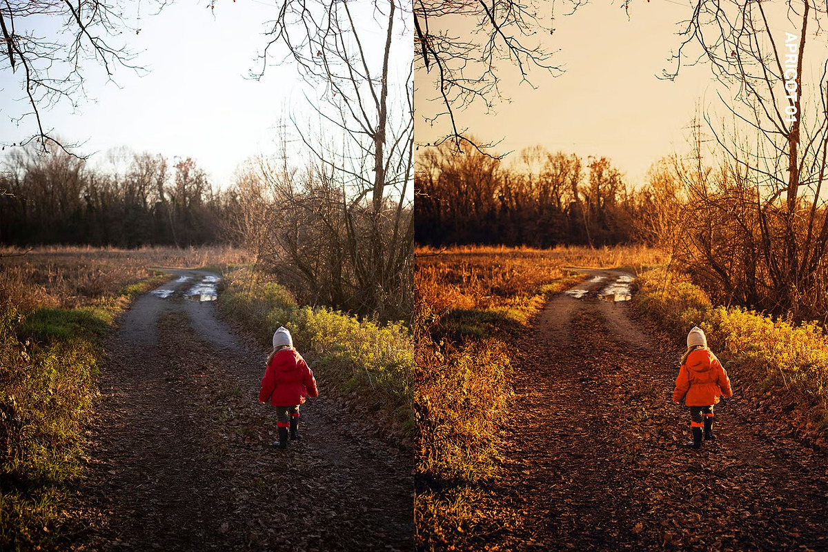 20 Golden Glow Lightroom Presets, a Preset Add-On by skybluecreative (Photo 6 of 12)