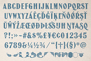 Jason Caps, a Serif Font by TypeFaith Fonts (Thumbnail 9 of 9)