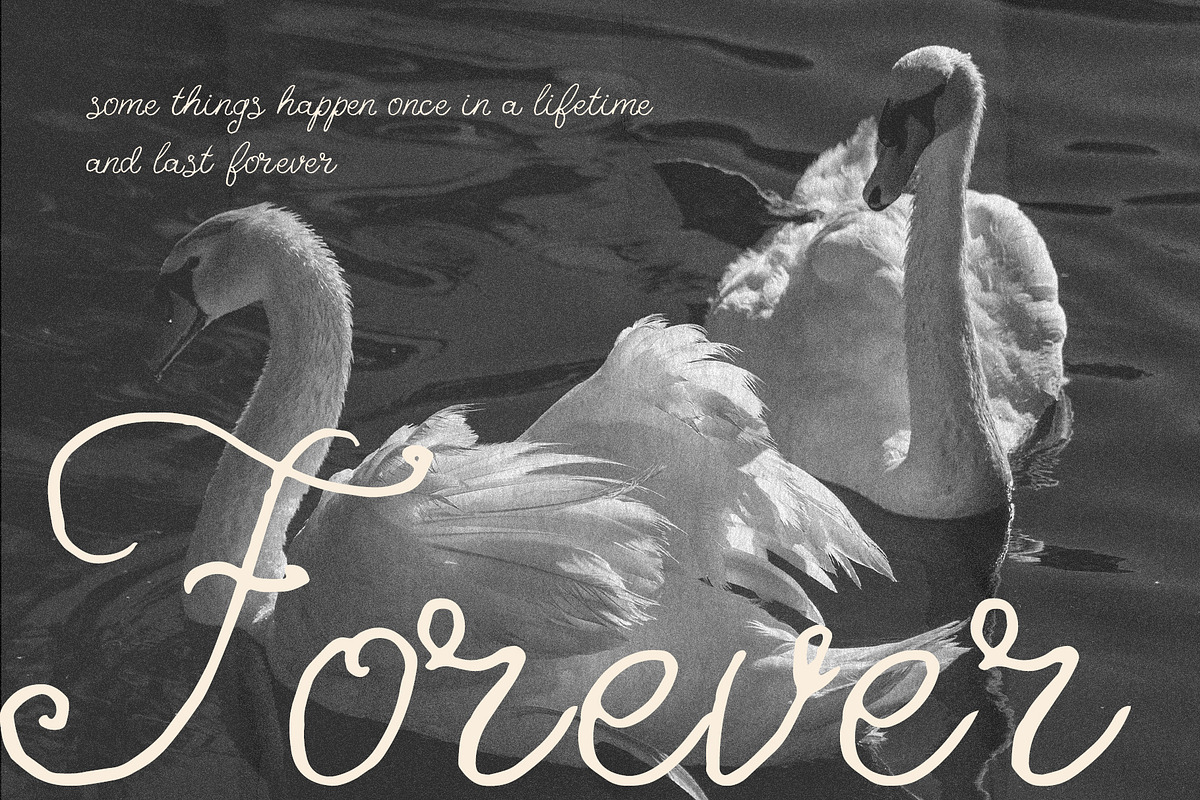 Dear Amelie - Delicate Script Font, a Handwritten Font by BilberryCreates (Photo 6 of 9)
