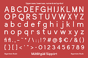Raizent - Experimental Sans Font, a Sans Serif Font by RagamKata (Thumbnail 12 of 13)