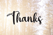Sunlight | Script Font, a Script Font by Scratchones (Thumbnail 8 of 8)