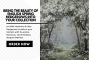 30+ Wild Hawthorn & Sloe Hedgerows, a Decorative Illustration by Virgo Studio (Thumbnail 6 of 6)