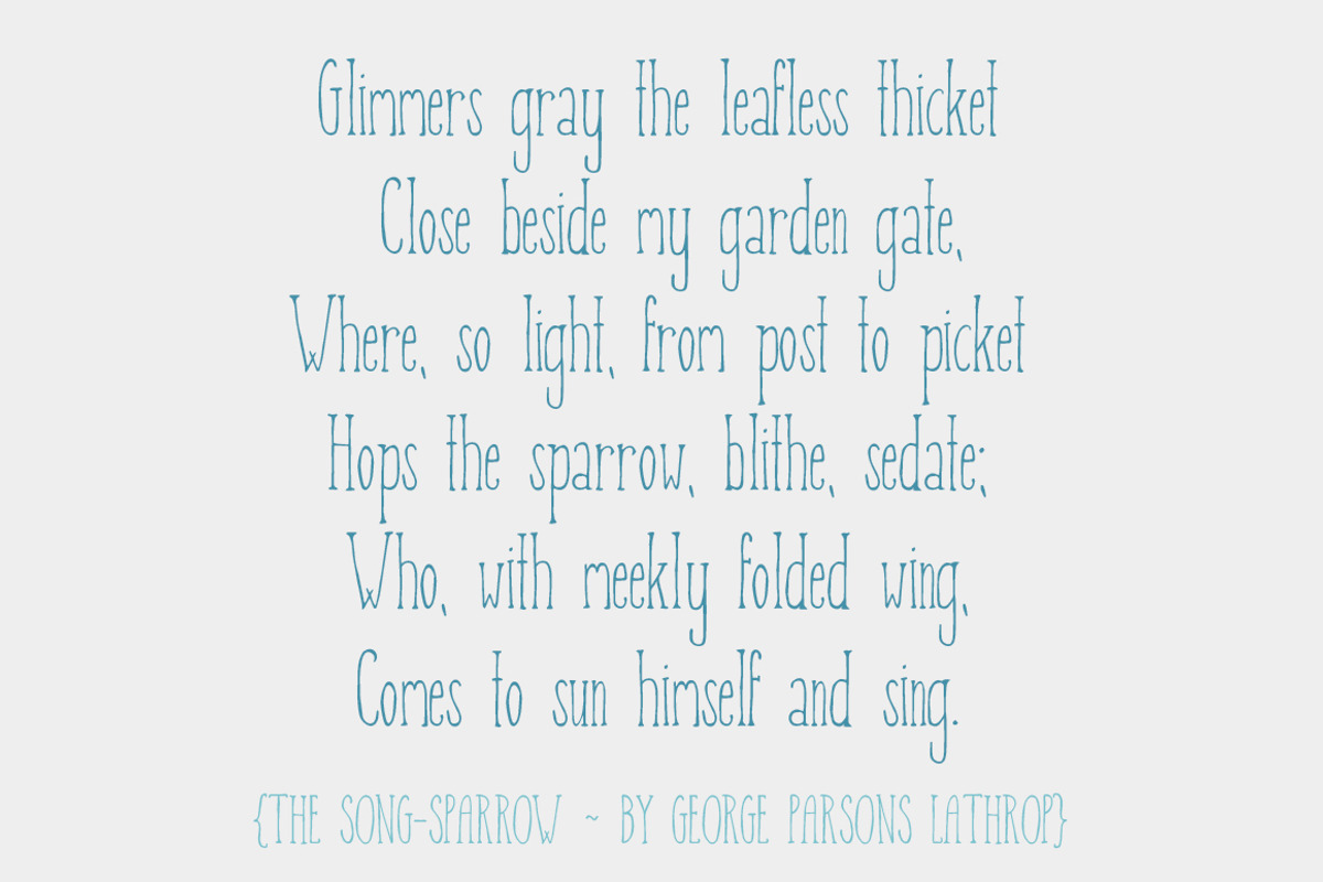 Picket Fence - Handdrawn Font preview 4