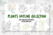 Botanical Line Art Bundle, an Illustration by Graphic Cook (Thumbnail 1 of 8)