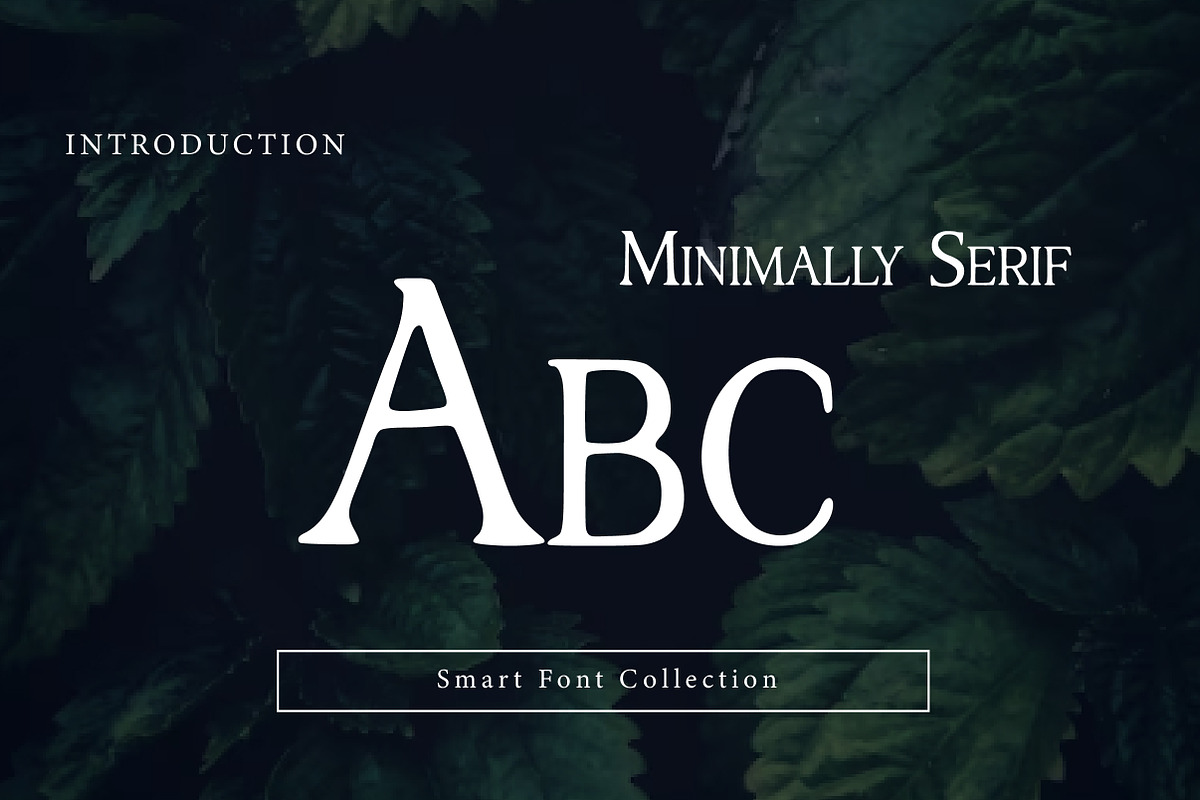 Minimally Serif, a Serif Font by Wow Magic (Photo 2 of 3)