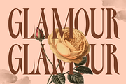 Elient – Elegant Fashion Serif Font, a Serif Font by MaikoHatta (Thumbnail 2 of 9)