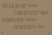 Quarma – Elegant Classy Serif, a Serif Font by Wildfield Studio (Thumbnail 3 of 15)