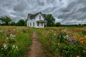 Old house surrounded by wildflowers, a Photo by Beautiful things