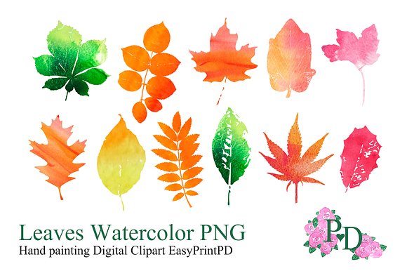 Autumn Leaves Watercolor preview 2