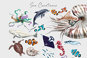 Watercolour Nautical Set, an Animal Illustration by NNclipart (Thumbnail 3 of 13)