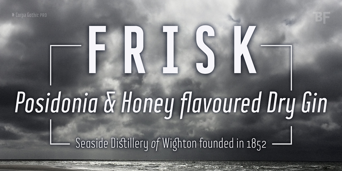 BF Corpa Gothic Pro, a Sans Serif Font by BrassFonts (Photo 5 of 15)