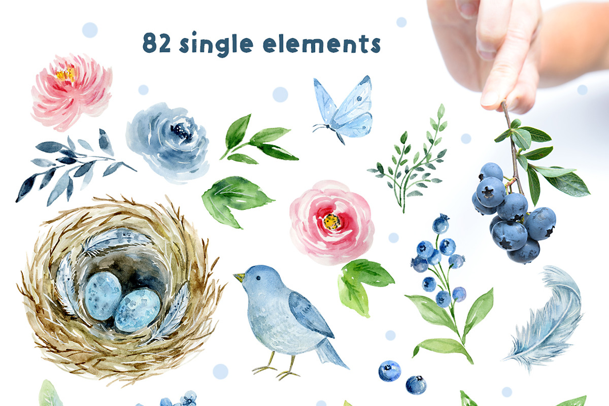 Blueberries and roses, a Decorative Illustration by long summer (Photo 4 of 8)