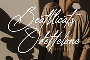 Salvatores, a Script Font by Integritype Studio (Thumbnail 15 of 15)