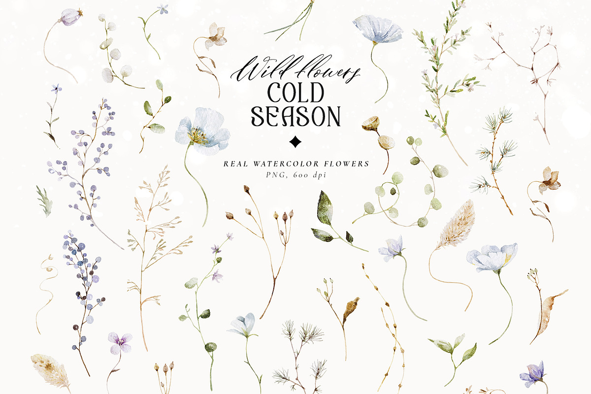 Cold season - watercolor wildflowers, a Decorative Illustration by Pamyatka Shop (Photo 16 of 18)