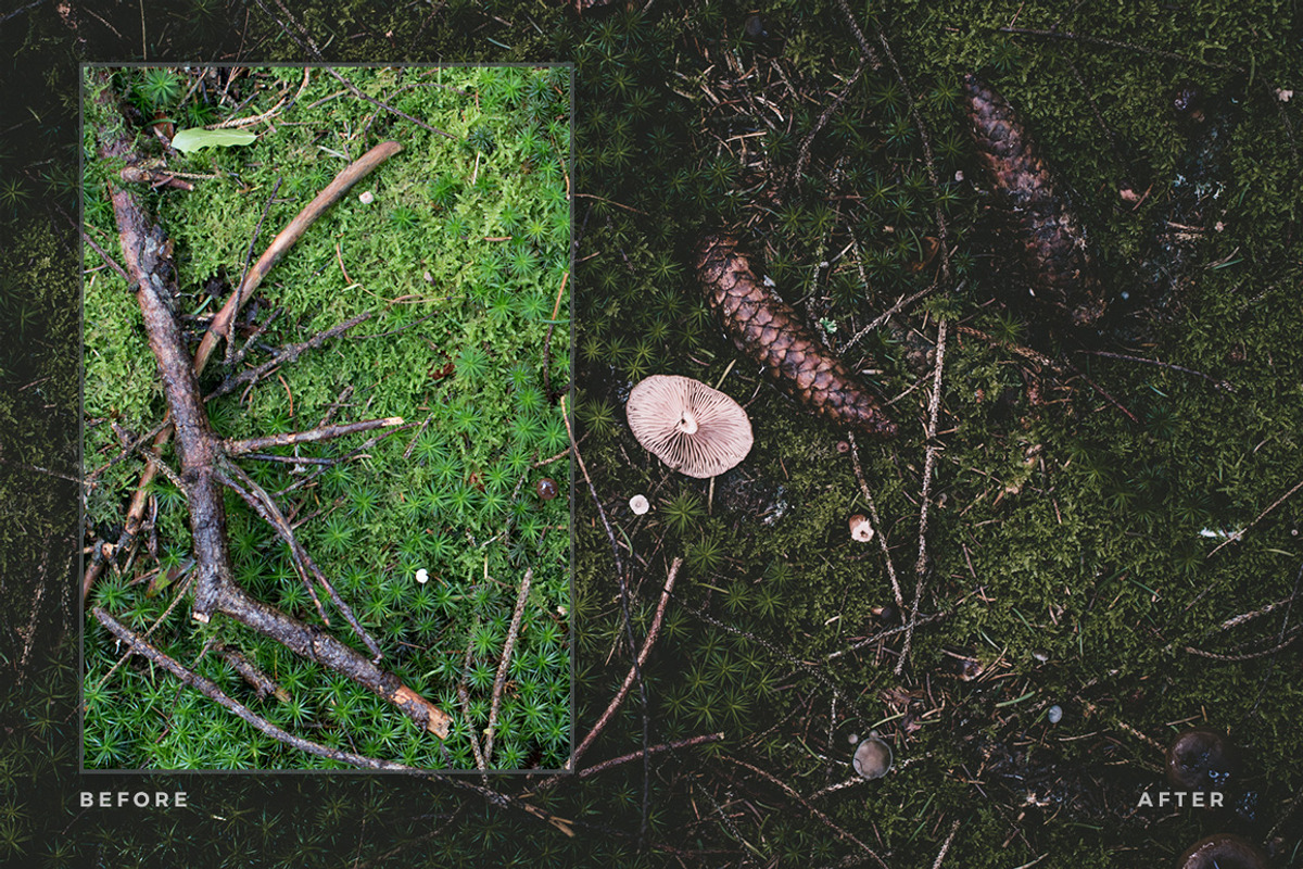 Artist Series – Lightroom Bundle 03, an Action Add-On by PhotoMarket (Photo 8 of 21)