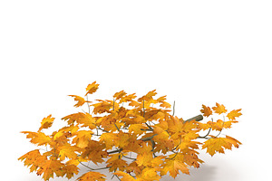 Maple Branch Yellow V2