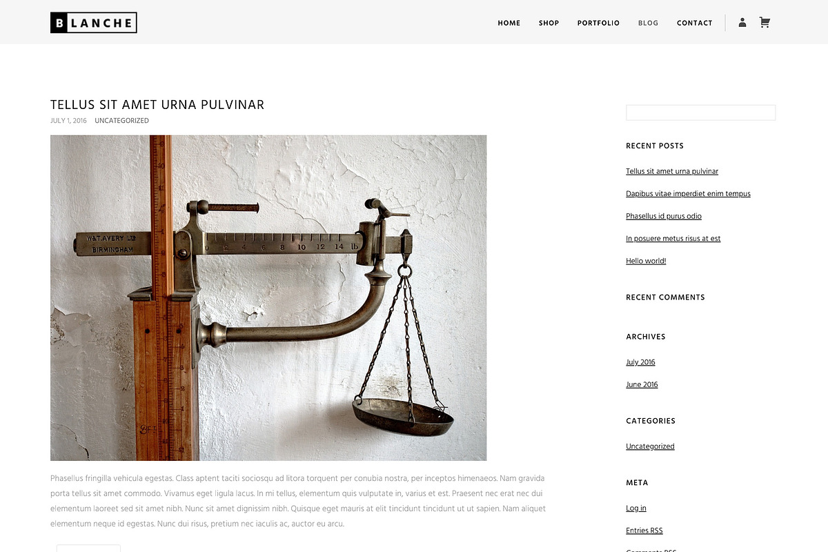 Blanche - Fashion & Shop WP Theme, a WordPress Template by Viva Themes (Photo 3 of 3)
