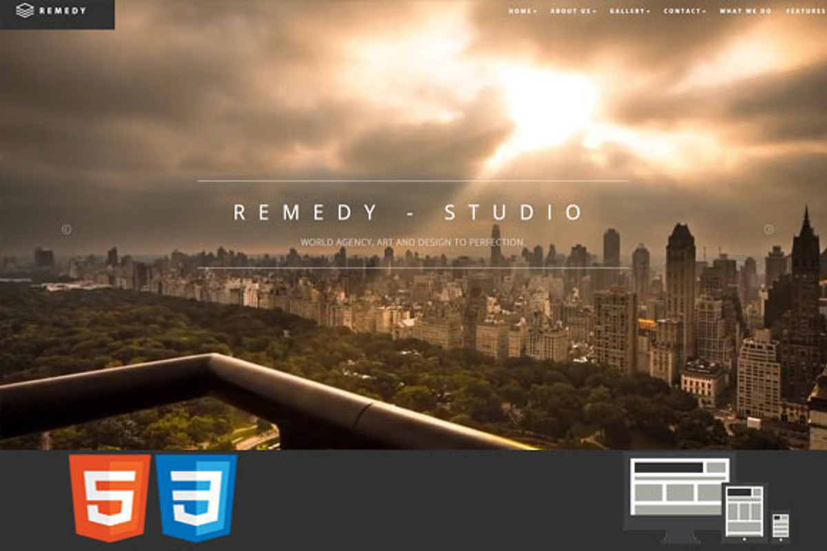 Remedy One/Multi Page HTML Template, a HTML Template by earthquake (Photo 1 of 7)