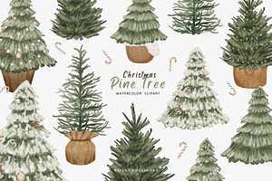 Watercolor Christmas Pine Tree Clipa