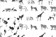 African Animals, an Animal Illustration by Ecaterina Sciuchina (Thumbnail 5 of 7)