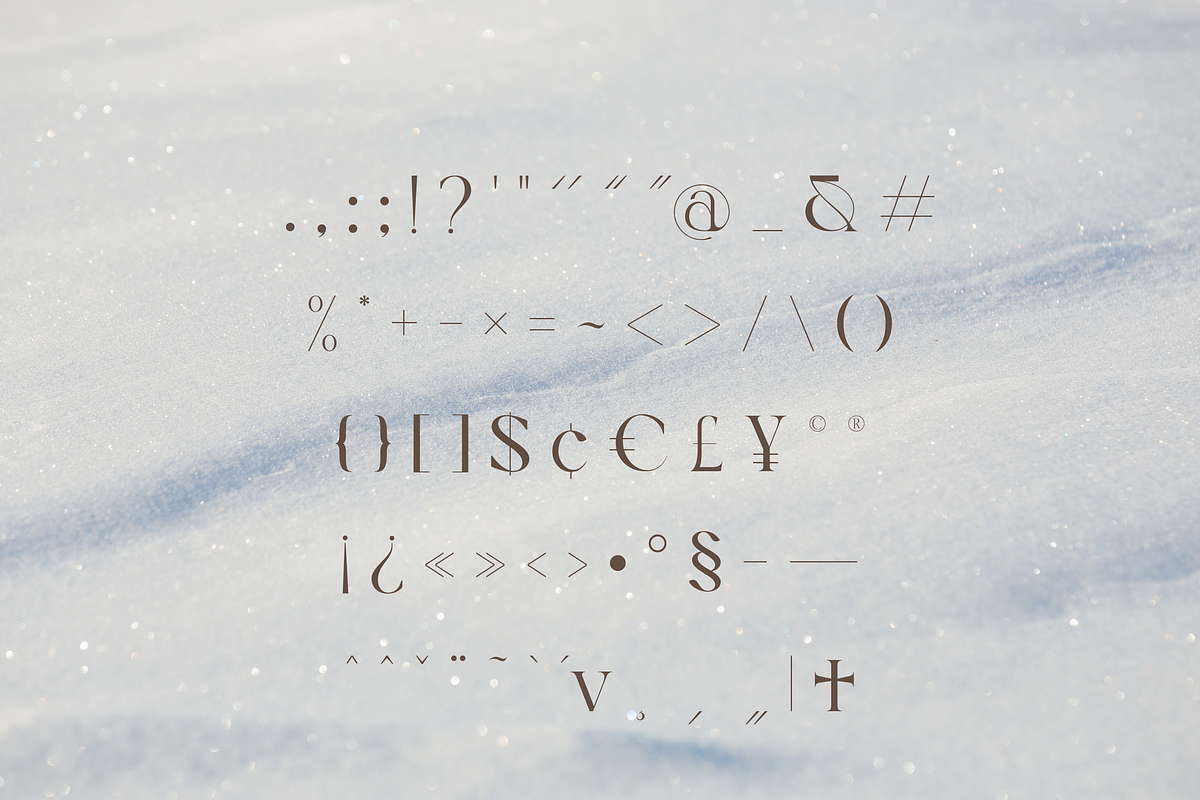 Ankadi Serif, a Serif Font by Creative Foundry (Photo 8 of 8)