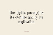 Ghina Ligature Serif Typeface, a Serif Font by yaqublekker (Thumbnail 3 of 10)