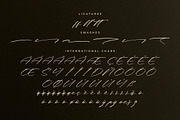 Midnight Realtime Modern Calligraphy, a Script Font by Letterena Studios Script (Thumbnail 14 of 15)