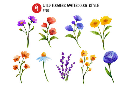 Wild Flowers Watercolor Style
