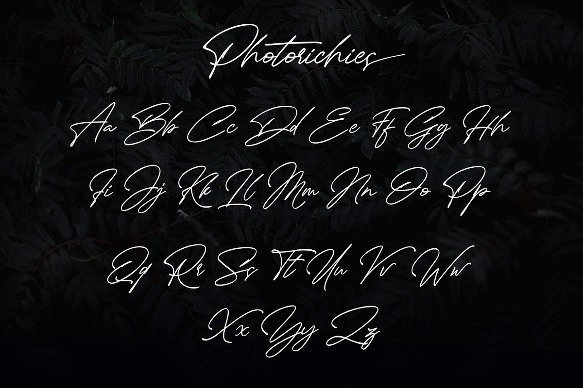 Photoricies - Photographer Script, a Script Font by Almarkhatype (Photo 11 of 14)
