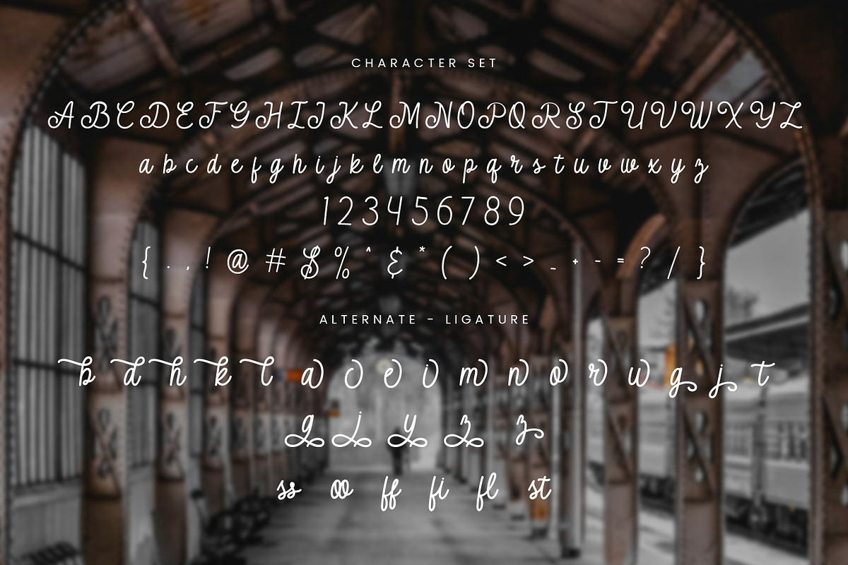 Taringue – Monoline Script Font, a Script Font by Imiftype Studio (Photo 10 of 10)