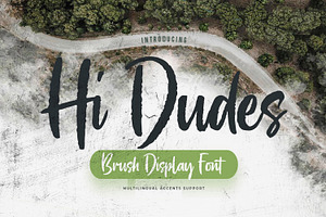 Hi Dudes - Brush Display Font