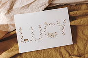 The Woodland Alphabet, an Animal Illustration by Flora+Bear (Thumbnail 2 of 16)