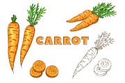 Vegetables in the Vintage Style, a Healthcare Illustration by Alfazet Chronicles (Thumbnail 13 of 15)