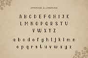 Willow Press - Vintage Serif Font, a Serif Font by V Design Creator (Thumbnail 2 of 9)