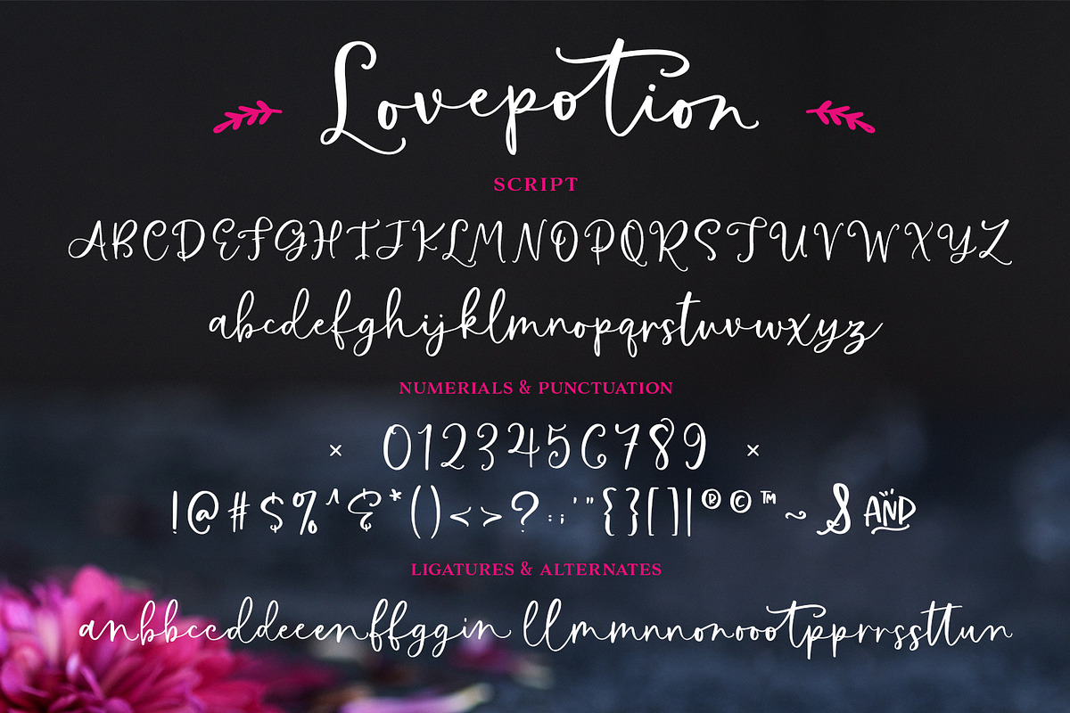 The Lovepotion Font Collection preview 8