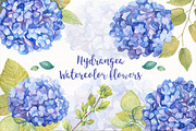 SALE! Hydrangea Watercolor Flowers, an Illustration by Irina Diasli (Thumbnail 2 of 6)