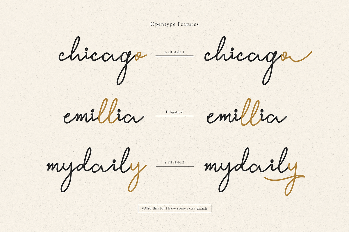 Willey Medium | Monoline Script Font, a Script Font by Denustudios (Photo 7 of 16)
