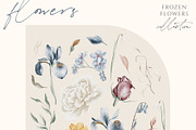 Frozen Flowers Watercolor Collection, a Texture Illustration by Julia Dreams (Thumbnail 6 of 8)