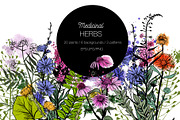 Watercolor medicinal herbs, an Illustration by Tatiana Davidova (Thumbnail 1 of 5)